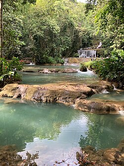 St. Elizabeth Real Estate